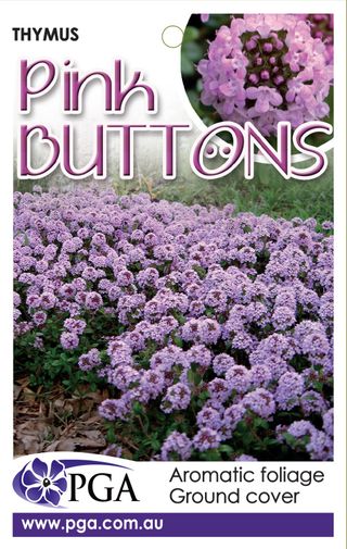 Plant Growers Australia - Thymus Pink Buttons