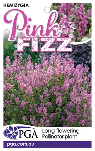 Plant Growers Australia - Hemizygia Pink Fizz